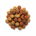 Granule